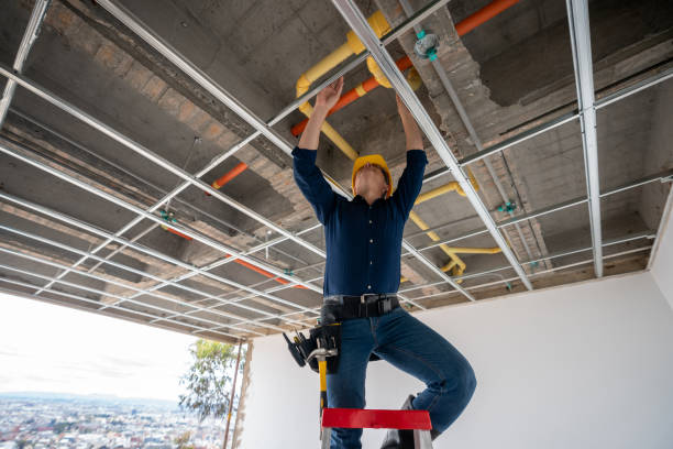 Best Plumbing Inspection Services  in Sturgis, KY